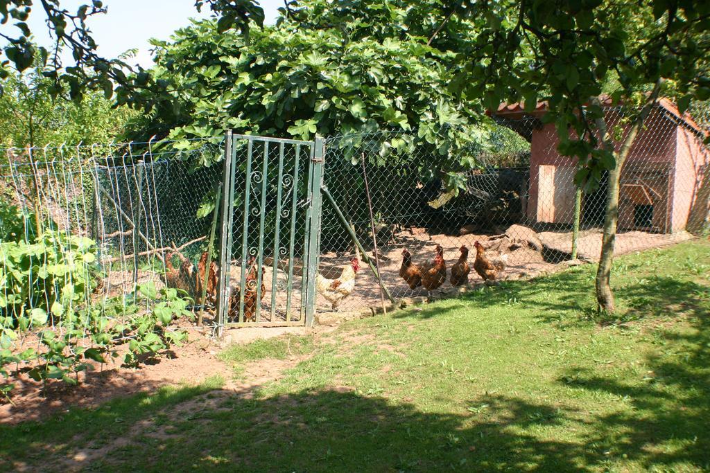 Fonte San Pedrin Guest House Cajide Exterior photo